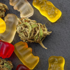 best cbd gummies for liver repair